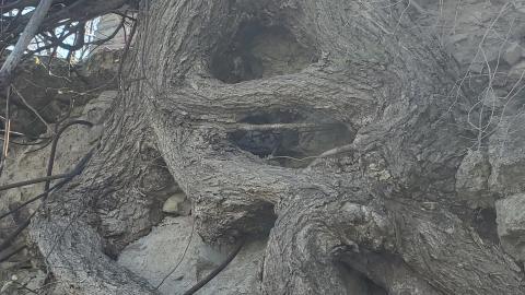 May 2022 - 20220508_144200.jpg