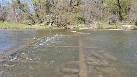 May 2022 - 20220508_144101.jpg