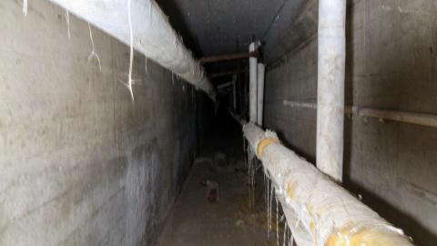 January 2022 - IMG_1769.JPG