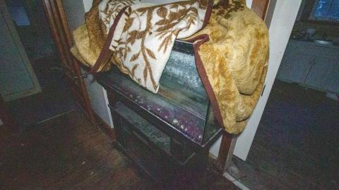 April 2022 - IMG_1901.JPG