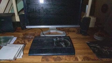 April 2022 - IMG_1905.JPG