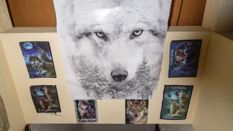 April 2022 - IMG_1908.JPG