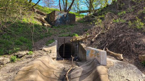 May 2022 - 20220509_105358.JPG