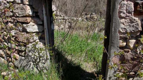 Photo from 5 Min Stop