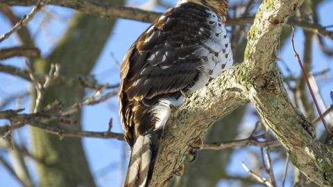 Not Long Gone - 19.jpg