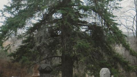 Cemetery and Church - 4E640B6F-CA66-4617-B981-C4FC3D6D216E.jpeg