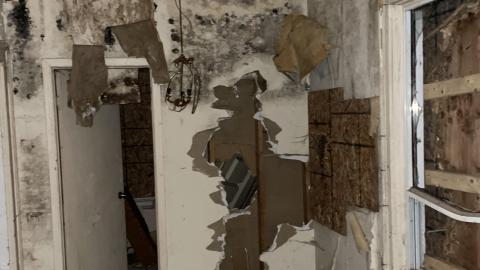 Beautiful and Strange - FDDA91FA-62DA-4B96-B386-0672AAE0AD79.jpeg