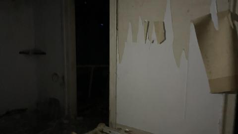 Beautiful and Strange - E86E42B0-5F9C-4639-A31C-DB7237DE255F.jpeg