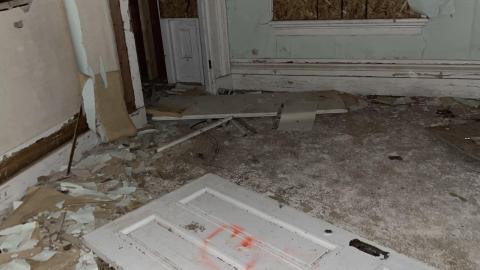 Beautiful and Strange - 5CBEC006-71EE-49BD-8137-B9F9333BA641.jpeg