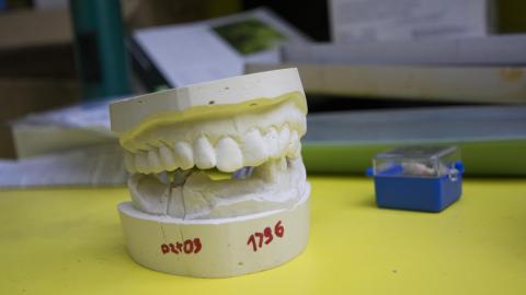 Little Shop Of Horrors - December 2017 - 9.jpg