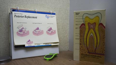 Photo from Little Shop Of Horrors - December 2017