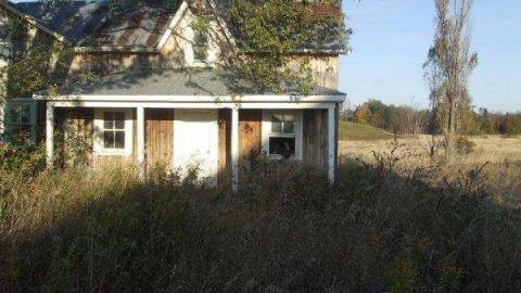 Gallery - DSCF1026.jpg