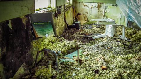 Getting Into Shenanigans - 003X.jpg