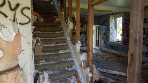 May 2022 - Punched Out Walls - IMG_1915.JPG