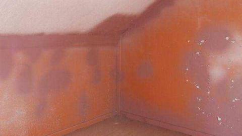 Gallery - DSCF1030.jpg