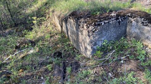 foundation of Darling