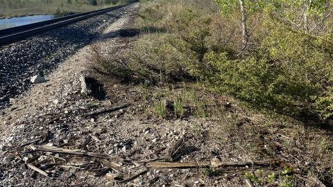 Siding ( where the Second line used to be )