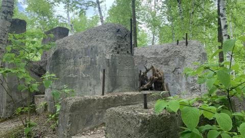 Former Lowville Quarry May 2022 - IMG_4737.JPG