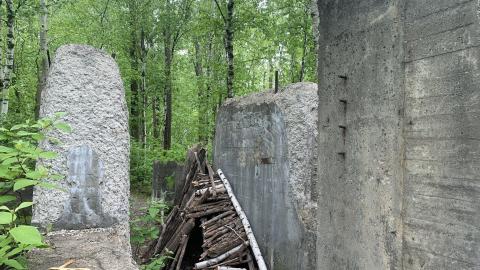 Former Lowville Quarry May 2022 - IMG_4735.JPG