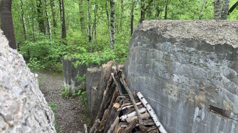 Former Lowville Quarry - Burlington, Ontario