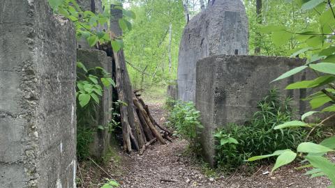 Former Lowville Quarry May 2022 - IMG_4739.JPG