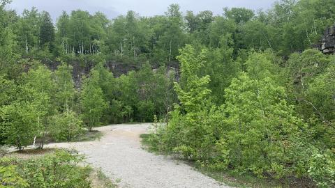 Former Lowville Quarry May 2022 - IMG_4741.JPG