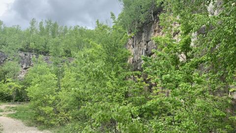 Former Lowville Quarry May 2022 - IMG_4745.JPG