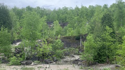 Former Lowville Quarry May 2022 - IMG_4750.JPG