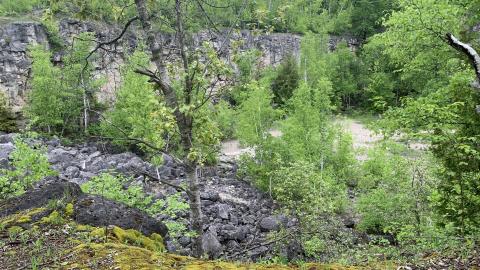 Former Lowville Quarry May 2022 - IMG_4752.JPG