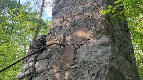 The McCrae Chimney - IMG_4800.JPG