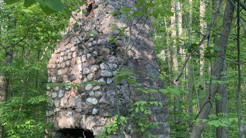 The McCrae Chimney - IMG_4803.JPG