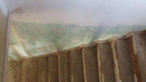 Gallery - DSCF1041.jpg