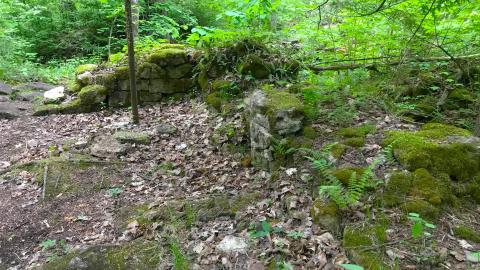 Hilton Falls Mill Ruins - IMG_4814.JPG