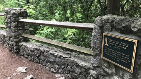 Hilton Falls Mill Ruins photo 4