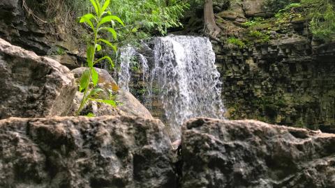 Hilton Falls Mill Ruins - IMG_4823.JPG