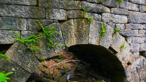 Hilton Falls Mill Ruins - IMG_4827.JPG