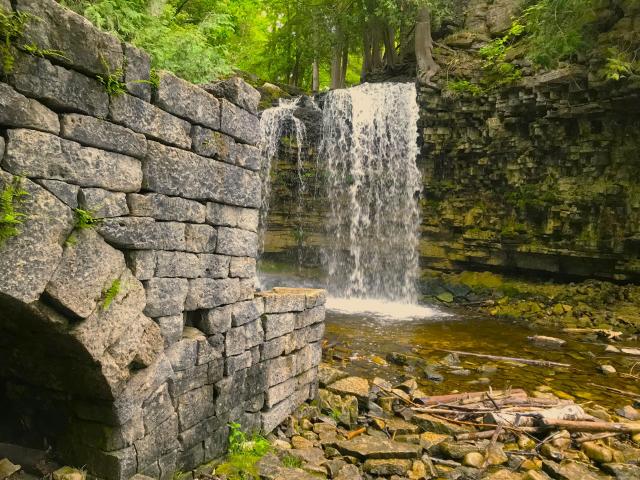 Hilton Falls Mill Ruins photo 2