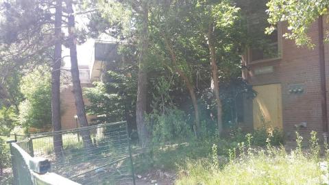 Don Valley Town Homes - 20180612_144838.jpg