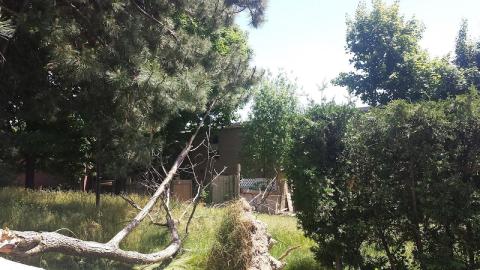 Don Valley Town Homes - 20180612_143903.jpg