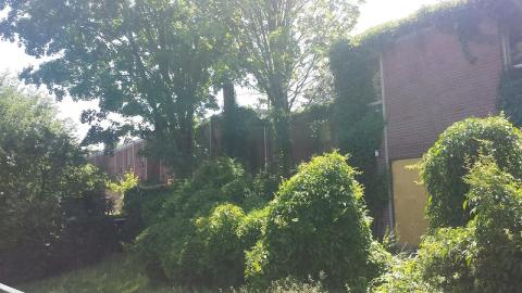 Don Valley Town Homes - 20180612_144451.jpg