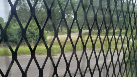 Photo from July 2021