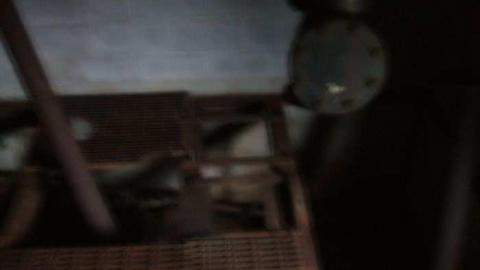 Photo from September 2009