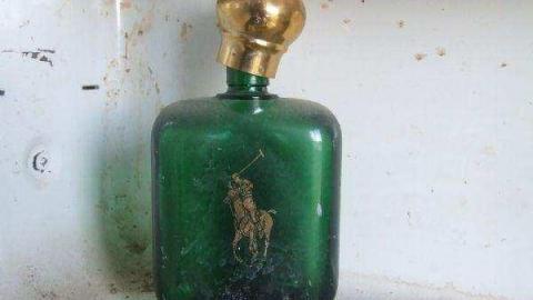 Gallery - DSCF1046.jpg