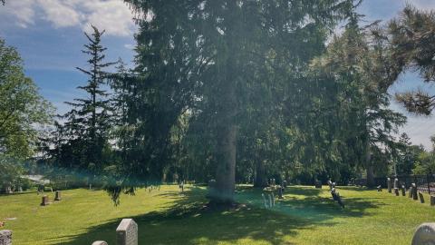 Friends Cemetery - Ajax, Ontario