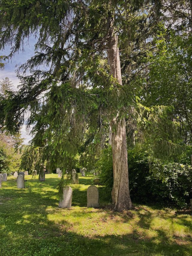 Friends Cemetery photo 2