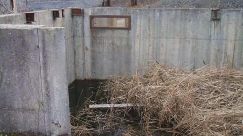 Photo from Fall 2009