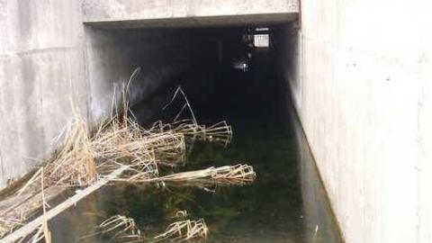 Photo from Fall 2009