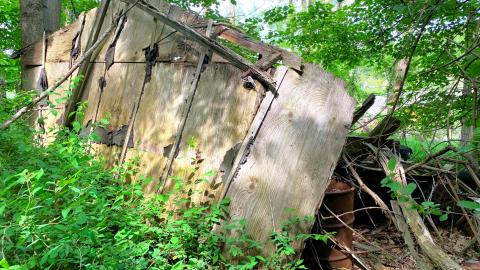 Cedar Springs Rd Storage Shed June 2022 - IMG_4876.JPG