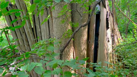 Cedar Springs Rd Storage Shed June 2022 - IMG_4877.JPG