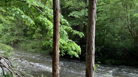 Don River Hangout - IMG_4141.jpg